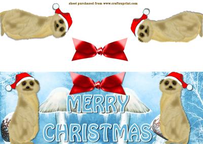 Meerkat Greetings