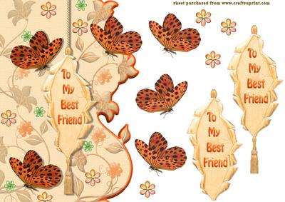 Butterfly Friends