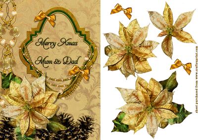 Parents and Poinsettia