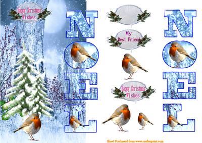 The Robin Family