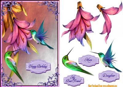 Humming Bird Beauty
