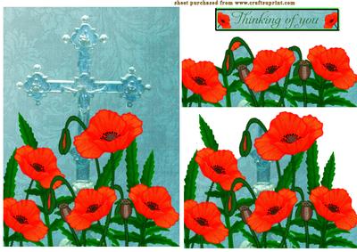 Sympathy Poppy
