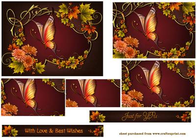 Butterfly Wings