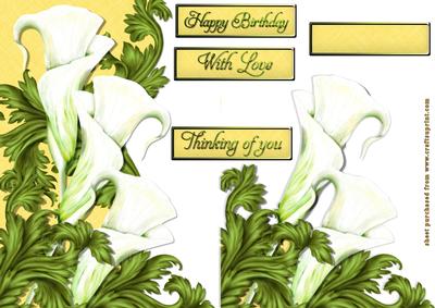 Arum Lilies