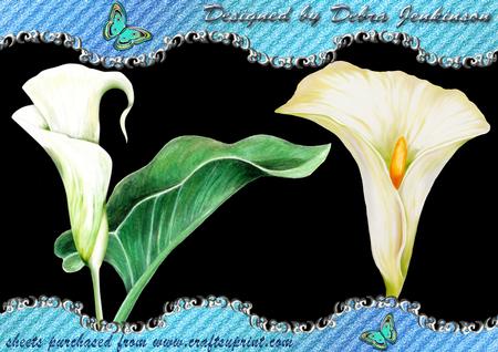 Arum Lilies