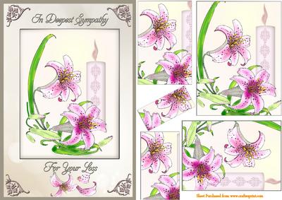 Stargazers with Sympathy