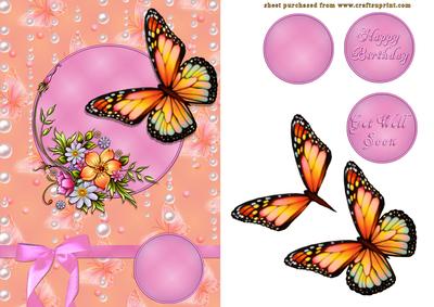 Butterflies and Raindrops
