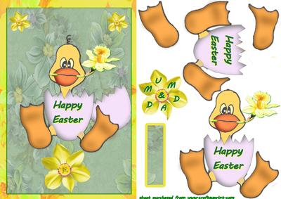Ugly Ducky