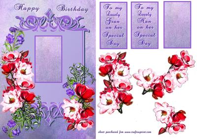 Gran-nan's Special Day