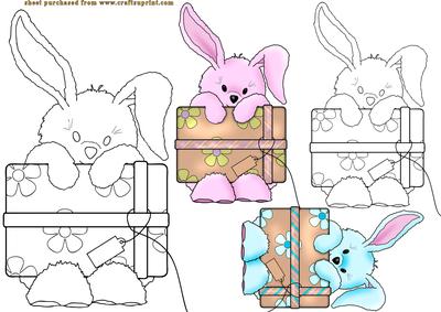 Gifted Bunny
