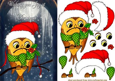 Xmas Olly