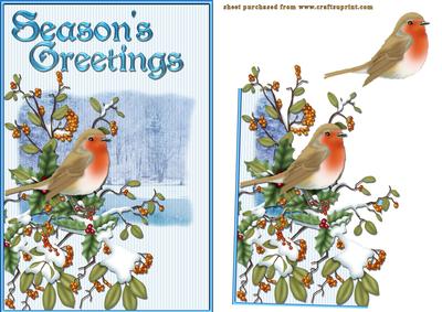 Seasonal Robin