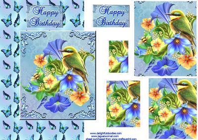 Butterflies and Birds