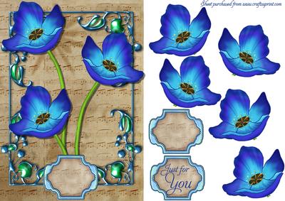 Blue Poppy