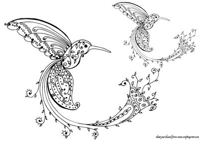 Humming Bird Doodle