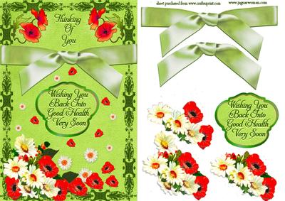 Poppies and Daisies