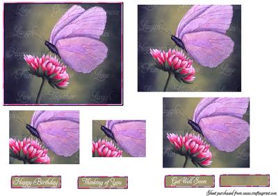 Butterfly Dreamer