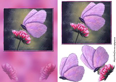 Butterfly Dreamer 2