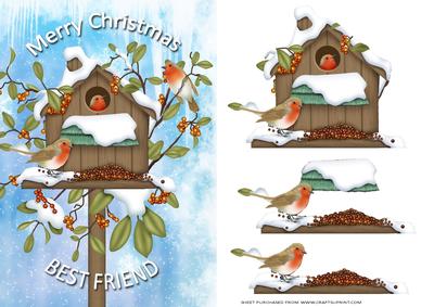 Xmas Friends