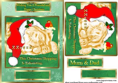 Snoozing Christmas Lion