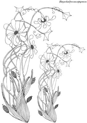 Bullrushes Doodle