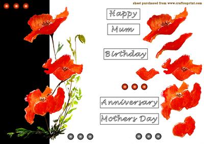Hand Painted Poppys