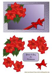 Poinsettia