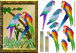 Parrots