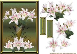 Framed Lilies for You