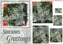 Frosty Web
