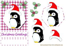 Baby Penquin