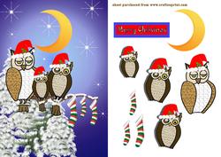 Three Owls