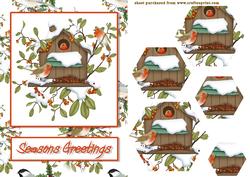 Robins at Play