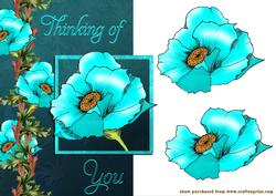 Blue Poppy