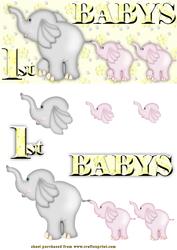 Babys 1st with Elephants
