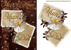 Mum and Dad at Xmas