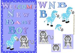 Welcome Baby Boy