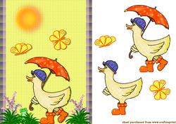 Sunshine Duck