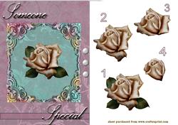 Flourish Framed Rose