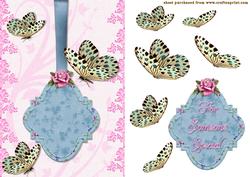 Butterfly Dreams