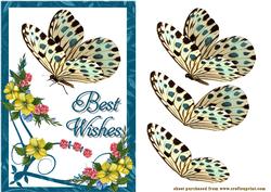 Butterfly Wishes