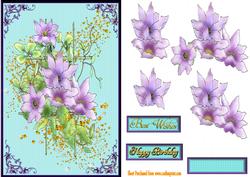 Climbing Clematis