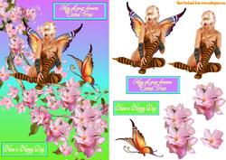 Butterfly Fairy