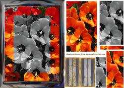 Spring Tulips