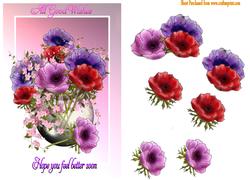 Get Well Anemones