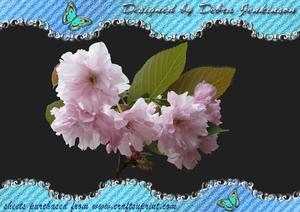 Pink Blossom