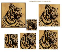 Tiger Tiger