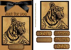 Tiger for You