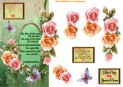 Rose Garden