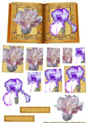 Book of Flowers